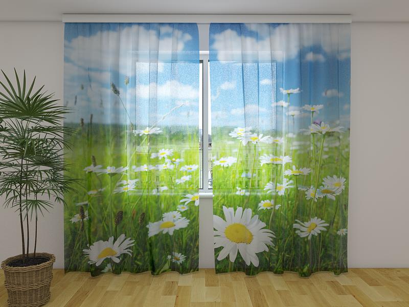 Foto Tende Campo di Camomille acquistare Foto Tende Campo di Camomille — Foto