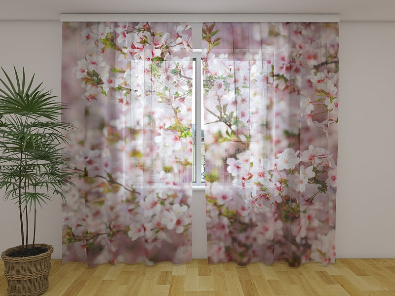 Foto Tende Fiori di Ciliegio in Primavera acquistare Foto Tende Fiori di Ciliegio in Primavera — Foto