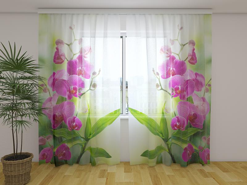 Foto Tende Colori dell'Estate acquistare Foto Tende Colori dell'Estate — Foto