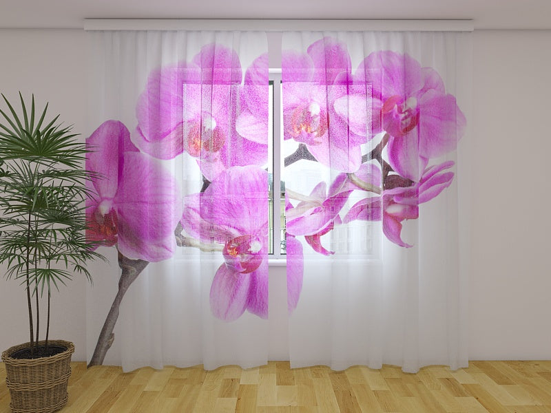 Foto Tende Felicità Cremisi acquistare Foto Tende Felicità Cremisi — Foto