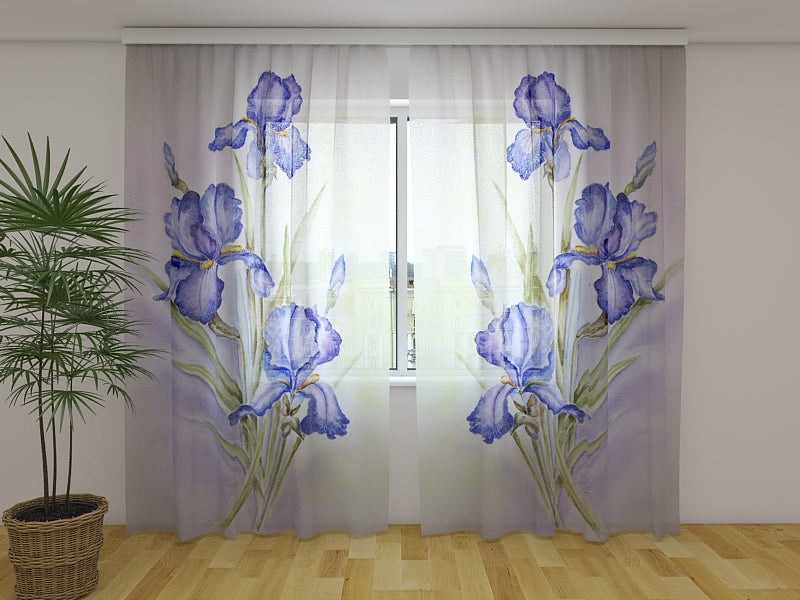 Foto Tende Delicate Iris Blu acquistare Foto Tende Delicate Iris Blu — Foto
