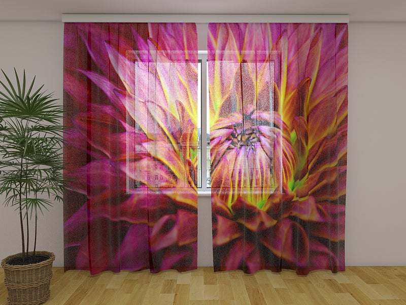 Foto Tende Delicato Fiore Dalia acquistare Foto Tende Delicato Fiore Dalia — Foto