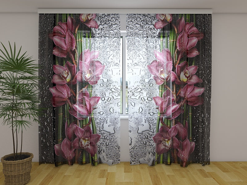 Foto Tende Goccia di Bellezza acquistare Foto Tende Goccia di Bellezza — Foto