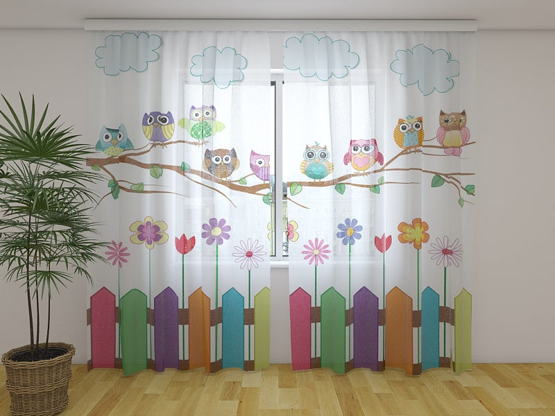 Foto Tende Gufo Divertente acquistare Foto Tende Gufo Divertente — Foto