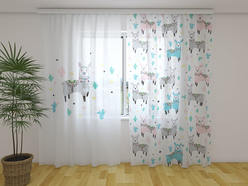 Foto Tende Felice Lama acquistare Foto Tende Felice Lama — Foto