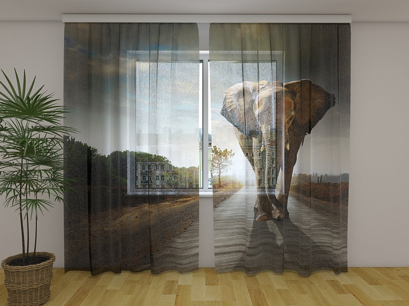 Foto Tende Elefante Imperiale acquistare Foto Tende Elefante Imperiale — Foto