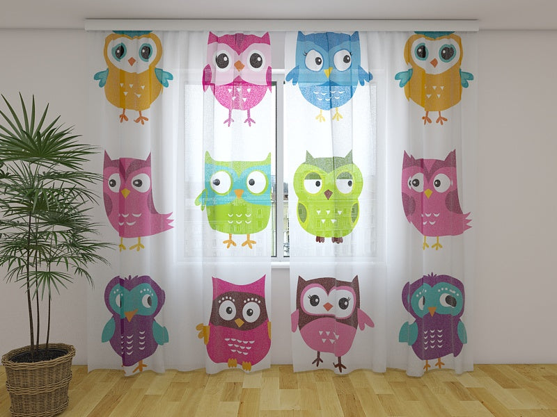Foto Tende Gufo Delizioso acquistare Foto Tende Gufo Delizioso — Foto