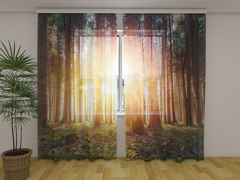 Foto Tende Tramonto Magico nel Bosco acquistare Foto Tende Tramonto Magico nel Bosco — Foto