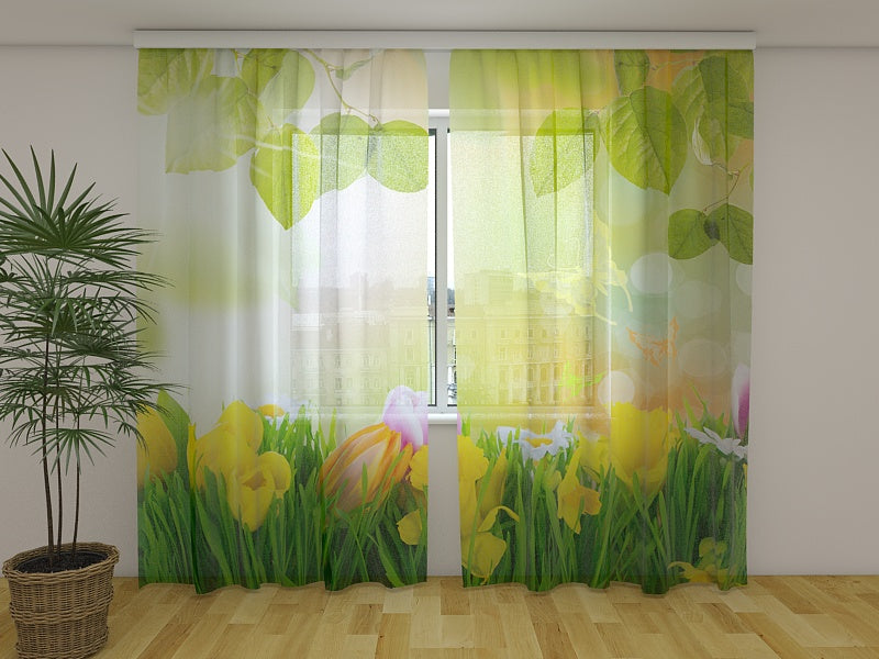 Foto Tende Sapore di Maggio acquistare Foto Tende Sapore di Maggio — Foto