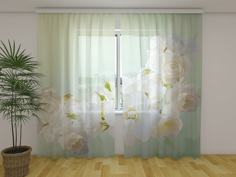 Foto Tende Rose Menta acquistare Foto Tende Rose Menta — Foto