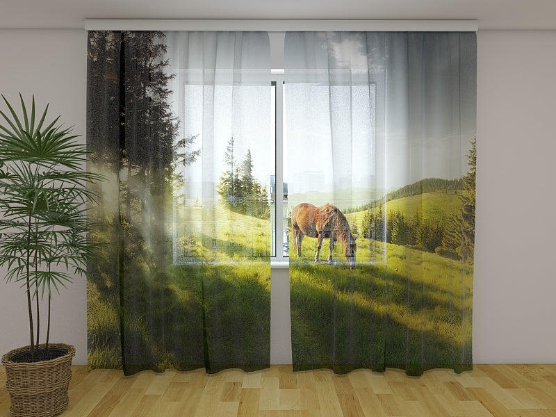 Foto Tende Una Mattina acquistare Foto Tende Una Mattina — Foto