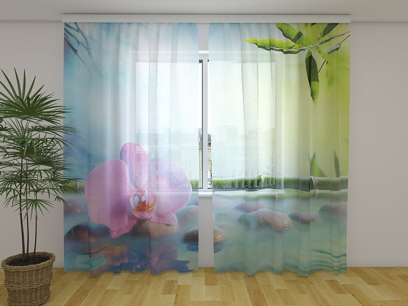 Foto Tende Orchidea In Fontana Giapponese acquistare Foto Tende Orchidea In Fontana Giapponese — Foto