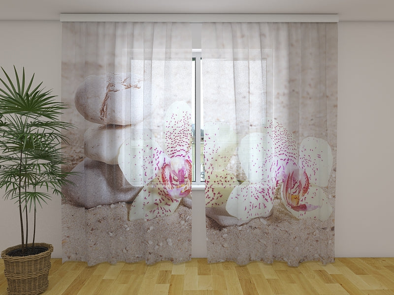 Foto Tende Orchidee e Pietre Zen acquistare Foto Tende Orchidee e Pietre Zen — Foto