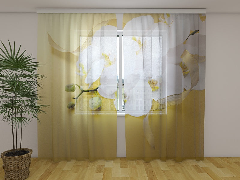 Foto Tende Orchidee su Oro acquistare Foto Tende Orchidee su Oro — Foto