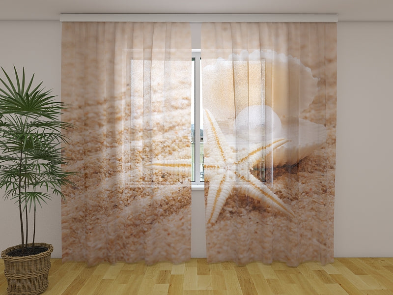 Foto Tende Perla su Conchiglia acquistare Foto Tende Perla su Conchiglia — Foto