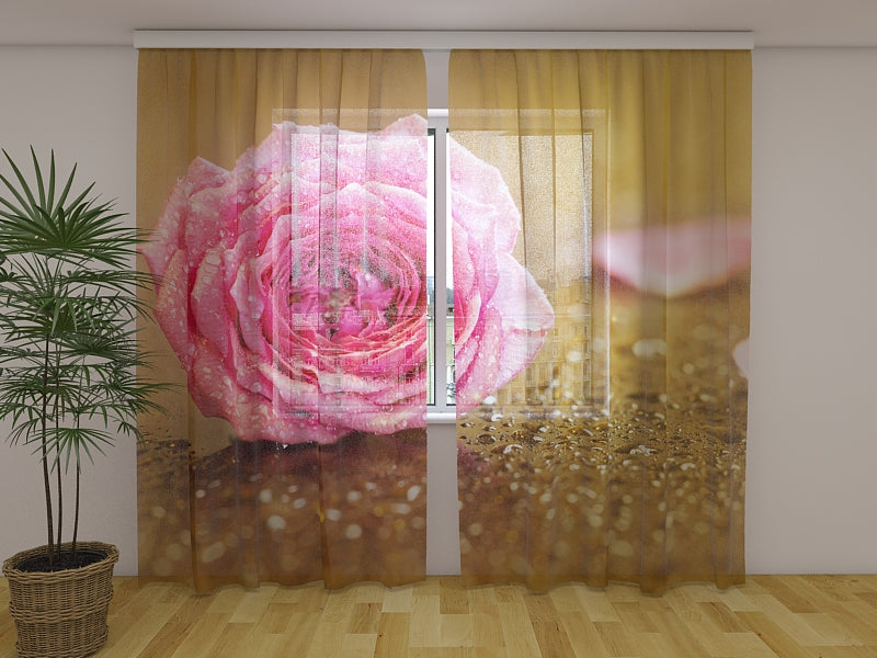 Foto Tende Fiore Rosa Rosa su Oro acquistare Foto Tende Fiore Rosa Rosa su Oro — Foto