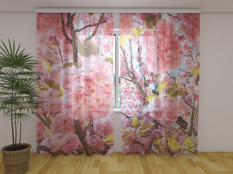 Foto Tende Sakura Rosa acquistare Foto Tende Sakura Rosa — Foto