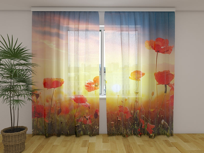 Foto Tende Campo di Papaveri al Tramonto acquistare Foto Tende Campo di Papaveri al Tramonto — Foto