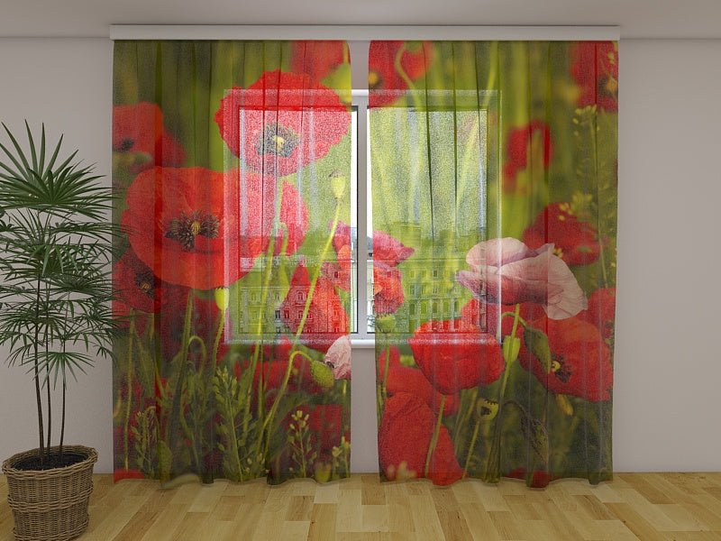 Foto Tende Papaveri Papaveri Rossi acquistare Foto Tende Papaveri Papaveri Rossi — Foto