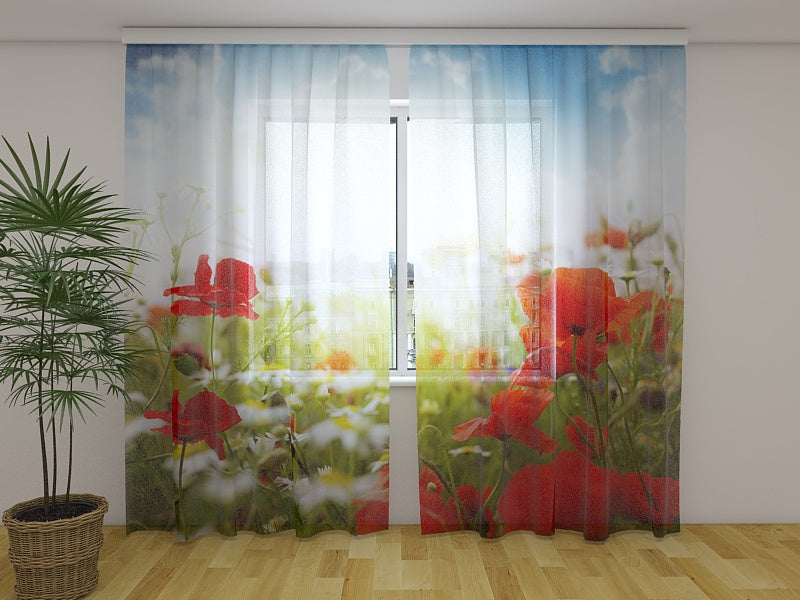 Foto Tende Papaveri Rossi e Cielo Blu acquistare Foto Tende Papaveri Rossi e Cielo Blu — Foto