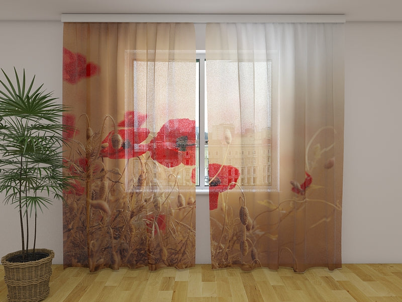 Foto Tende Papaveri rossi in Campo di Grano Dorato acquistare Foto Tende Papaveri rossi in Campo di Grano Dorato — Foto