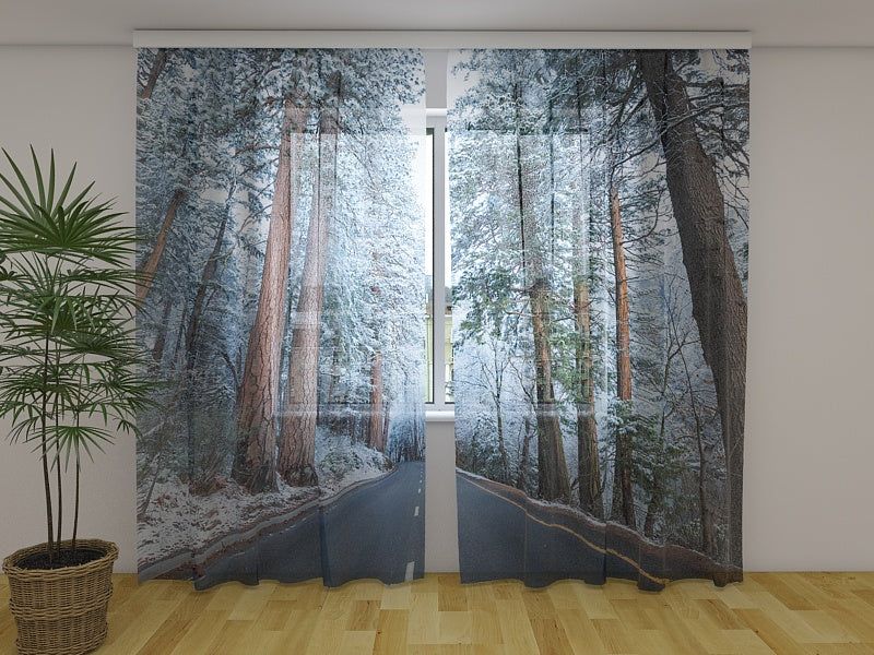 Foto Tende Strada e Foresta Innevate acquistare Foto Tende Strada e Foresta Innevate — Foto