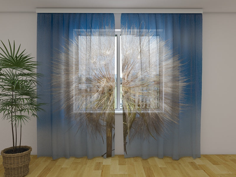 Foto Tende Dente di Leone e Cielo acquistare Foto Tende Dente di Leone e Cielo — Foto