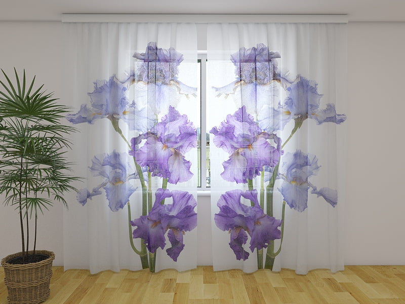 Foto Tende Brezza Primaverile acquistare Foto Tende Brezza Primaverile — Foto