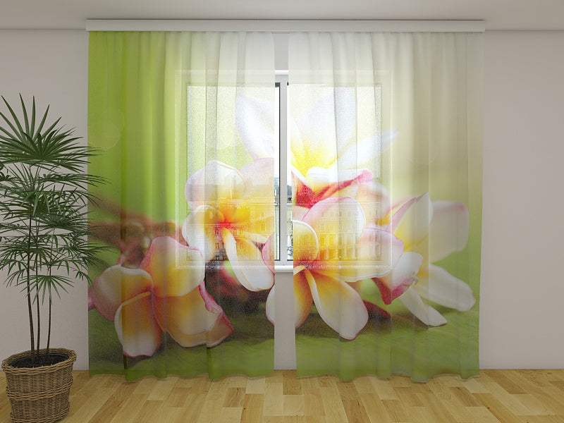 Foto Tende Fiori Primaverili acquistare Foto Tende Fiori Primaverili — Foto