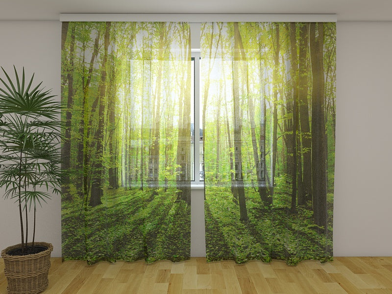 Foto Tende Raggi di Sole 2 acquistare Foto Tende Raggi di Sole 2 — Foto