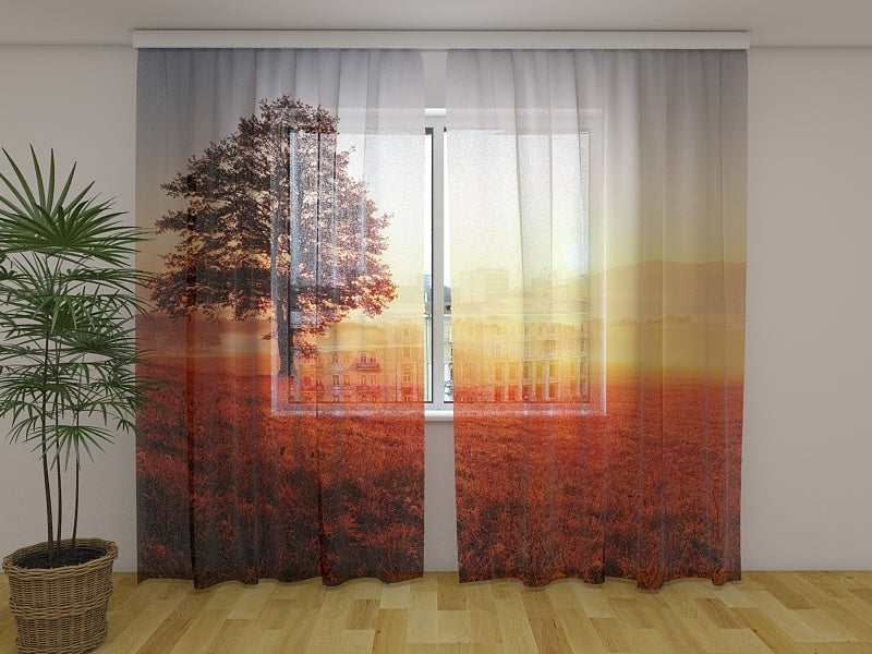 Foto Tende Tramonto e Albero acquistare Foto Tende Tramonto e Albero — Foto