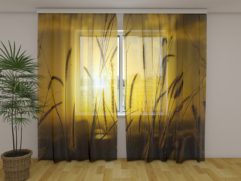 Foto Tende Tramonto sul Campo acquistare Foto Tende Tramonto sul Campo — Foto