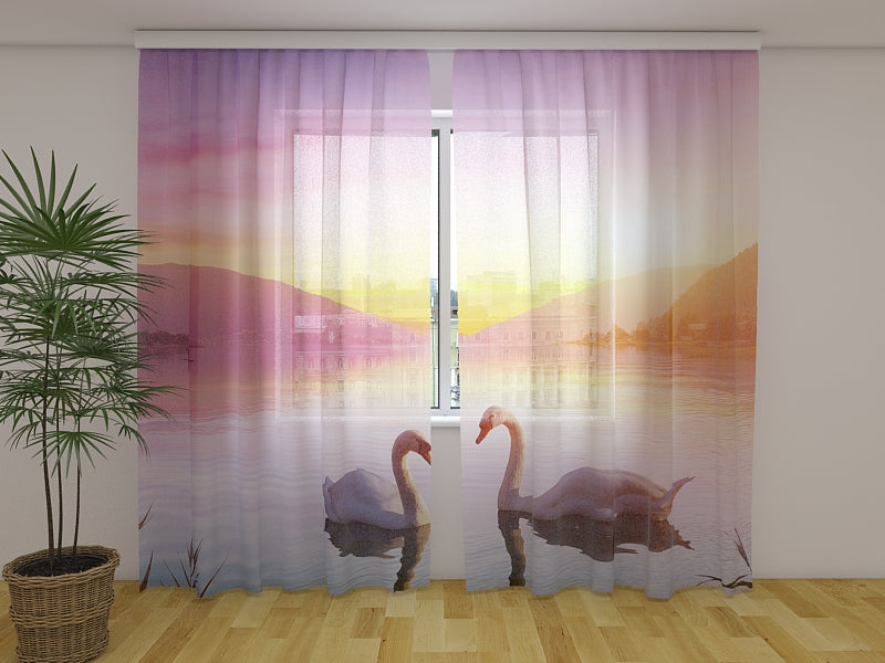 Foto Tende Cigni sul Lago all'Alba acquistare Foto Tende Cigni sul Lago all'Alba — Foto