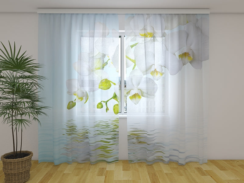 Foto Tende Tenerezza 4 acquistare Foto Tende Tenerezza 4 — Foto