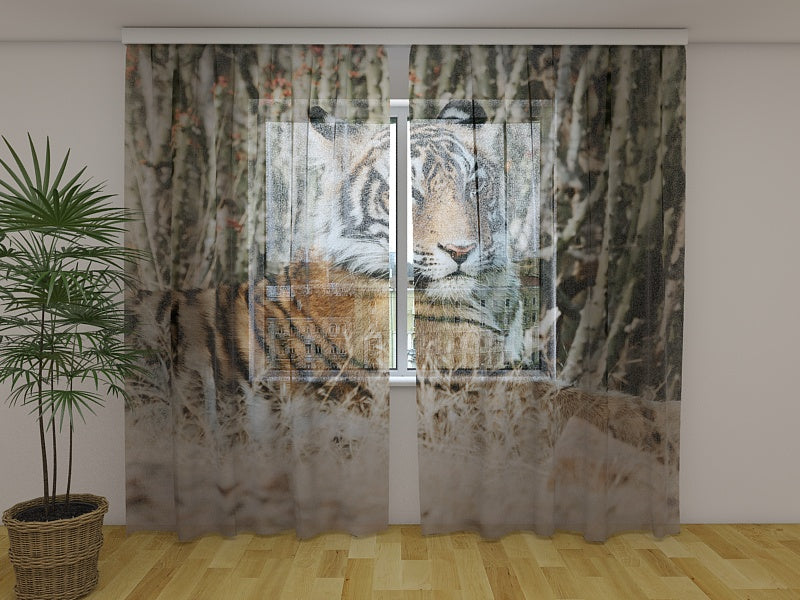 Foto Tende Tigre Shayari acquistare Foto Tende Tigre Shayari — Foto