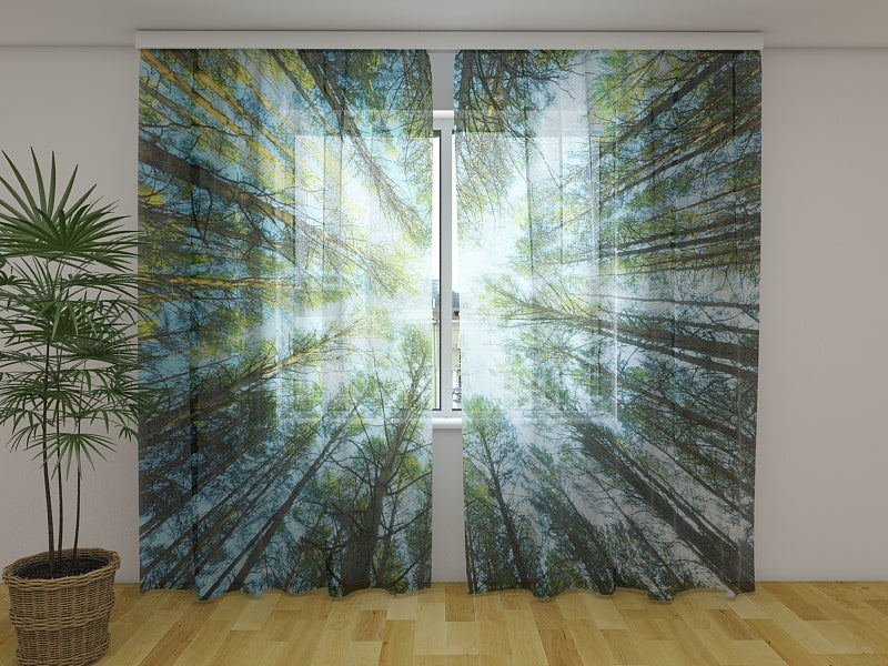 Foto Tende Cime di Alberi acquistare Foto Tende Cime di Alberi — Foto