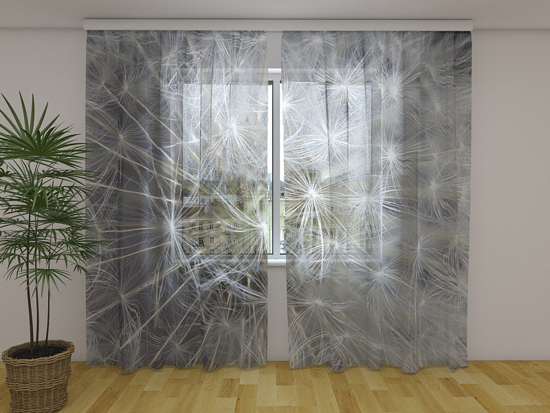 Foto Tende Soffice Dente di Leone Bianco acquistare Foto Tende Soffice Dente di Leone Bianco — Foto