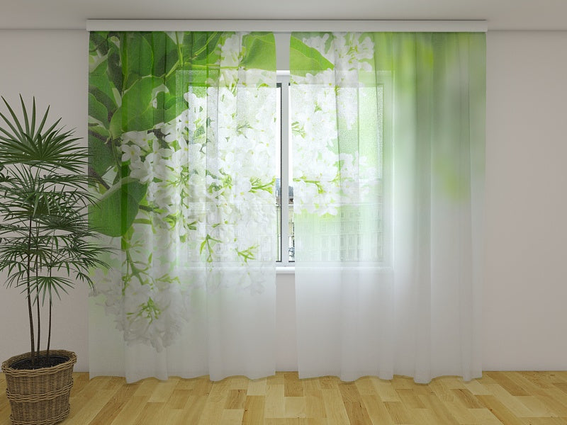 Foto Tende Lillà Bianco acquistare Foto Tende Lillà Bianco — Foto