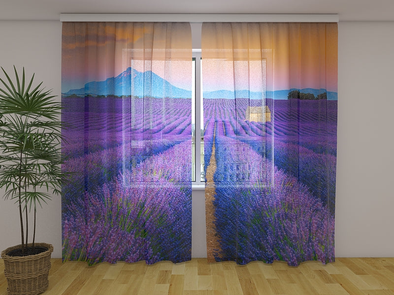 Foto Tende Meravigliosi Campi di Lavanda in Provenza acquistare Foto Tende Meravigliosi Campi di Lavanda in Provenza — Foto