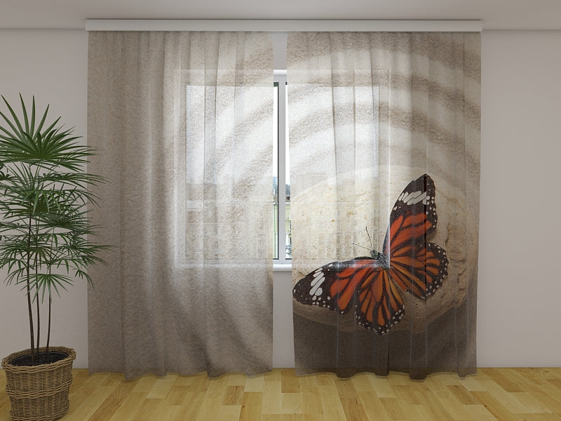 Foto Tende Pietra Zen con Farfalla acquistare Foto Tende Pietra Zen con Farfalla — Foto