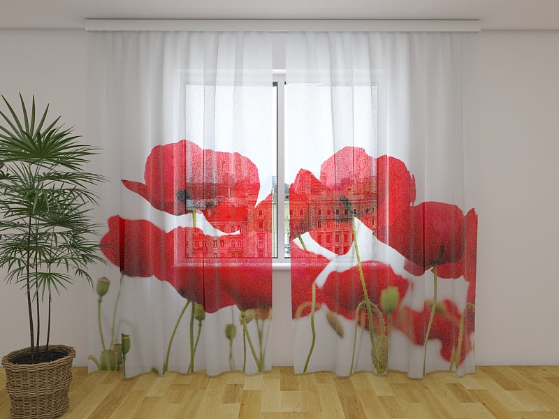 Foto Tende Papaveri Rossi Freschi acquistare Foto Tende Papaveri Rossi Freschi — Foto