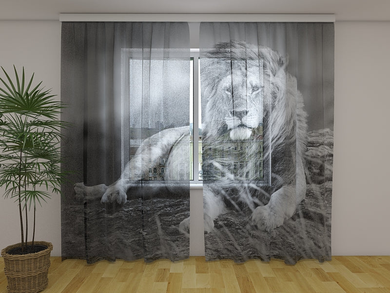 Foto Tende Leone Potente acquistare Foto Tende Leone Potente — Foto