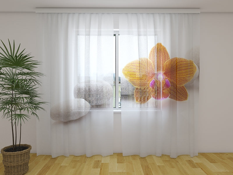 Foto Tende Orchidea Arancione su Pietre Termali acquistare Foto Tende Orchidea Arancione su Pietre Termali — Foto