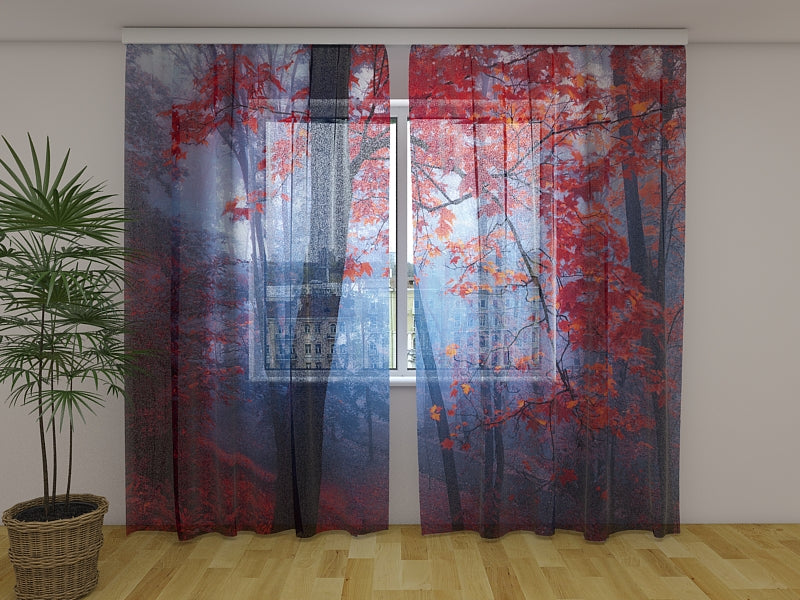 Foto Tende Foglie Rosse Nella Nebbia acquistare Foto Tende Foglie Rosse Nella Nebbia — Foto