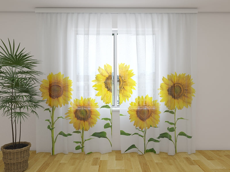 Foto Tende Girasoli Gialli Estivi acquistare Foto Tende Girasoli Gialli Estivi — Foto