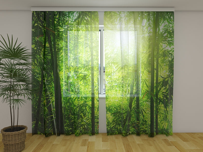 Foto Tende Sole nella Foresta di Bambù acquistare Foto Tende Sole nella Foresta di Bambù — Foto