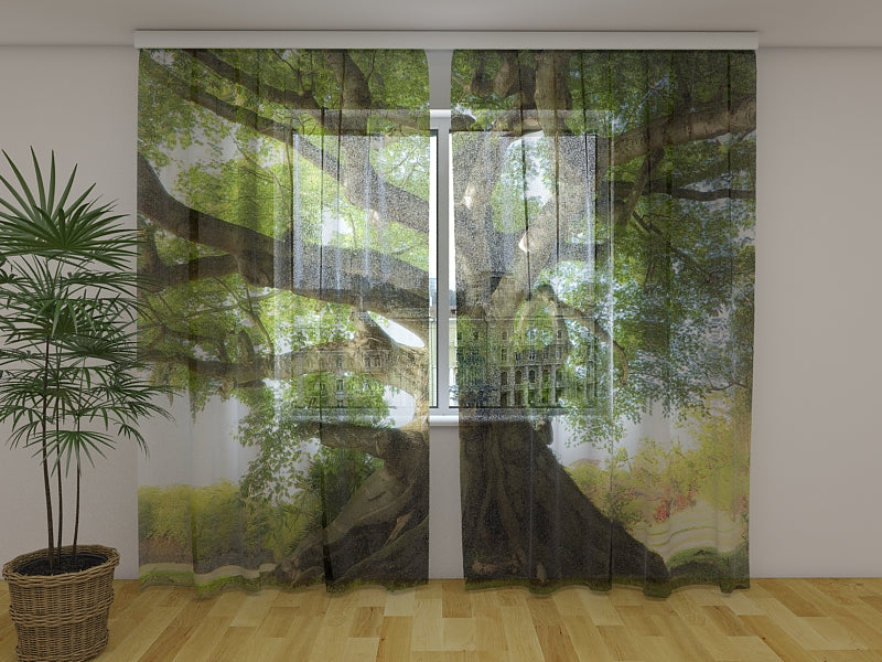 Foto Tende Albero Della Vita acquistare Foto Tende Albero Della Vita — Foto