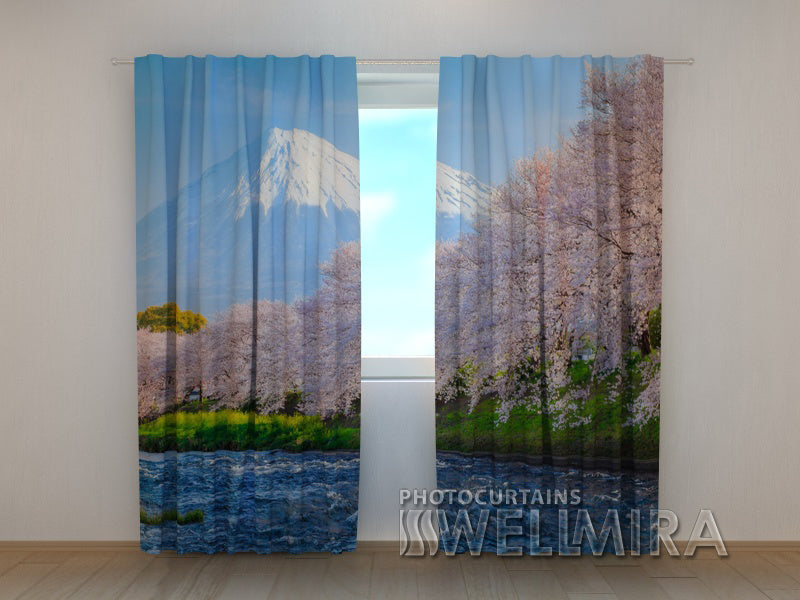 Foto Tende Monte Fuji e Ciliegi acquistare Foto Tende Monte Fuji e Ciliegi — Foto