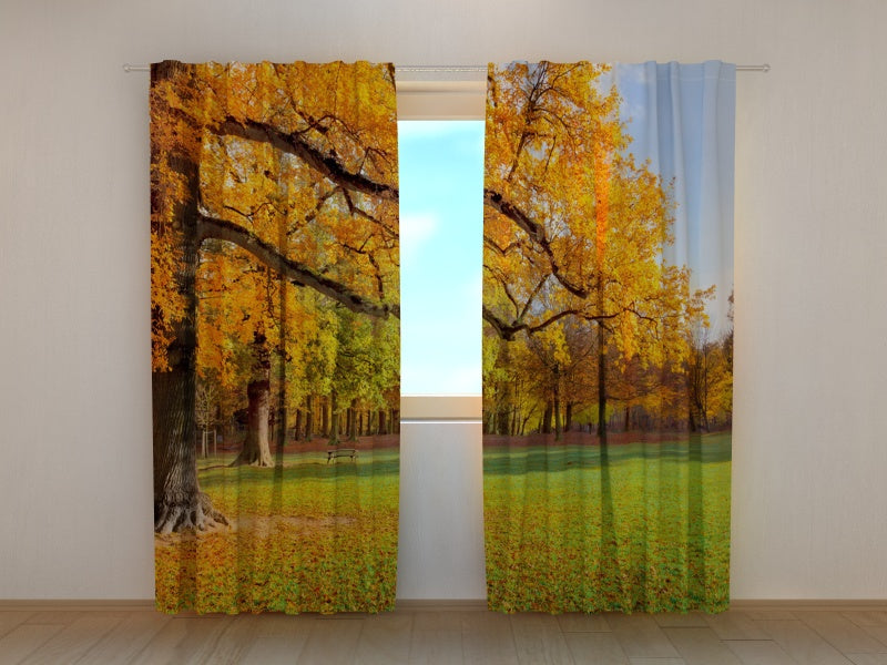 Foto Tende Autunno Dorato acquistare Foto Tende Autunno Dorato — Foto