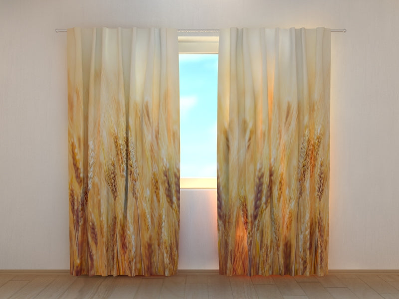 Foto Tende Campo di Grano Dorato acquistare Foto Tende Campo di Grano Dorato — Foto